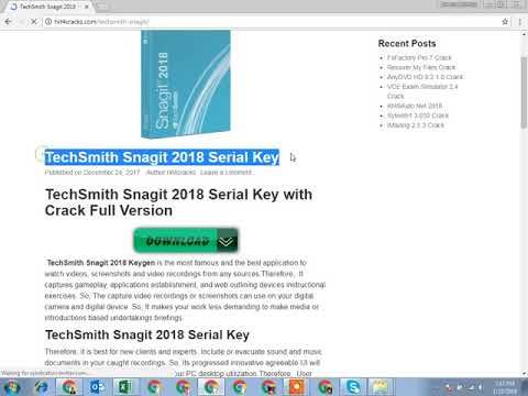 snagit 2019 license