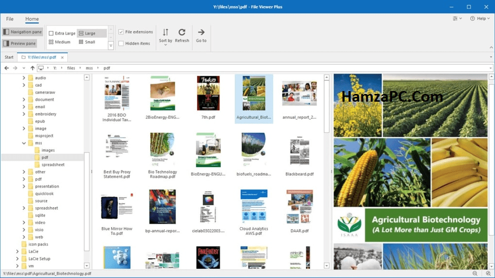 File Viewer Plus Crack v5.3.0.40 + Activation Key Download For Windows